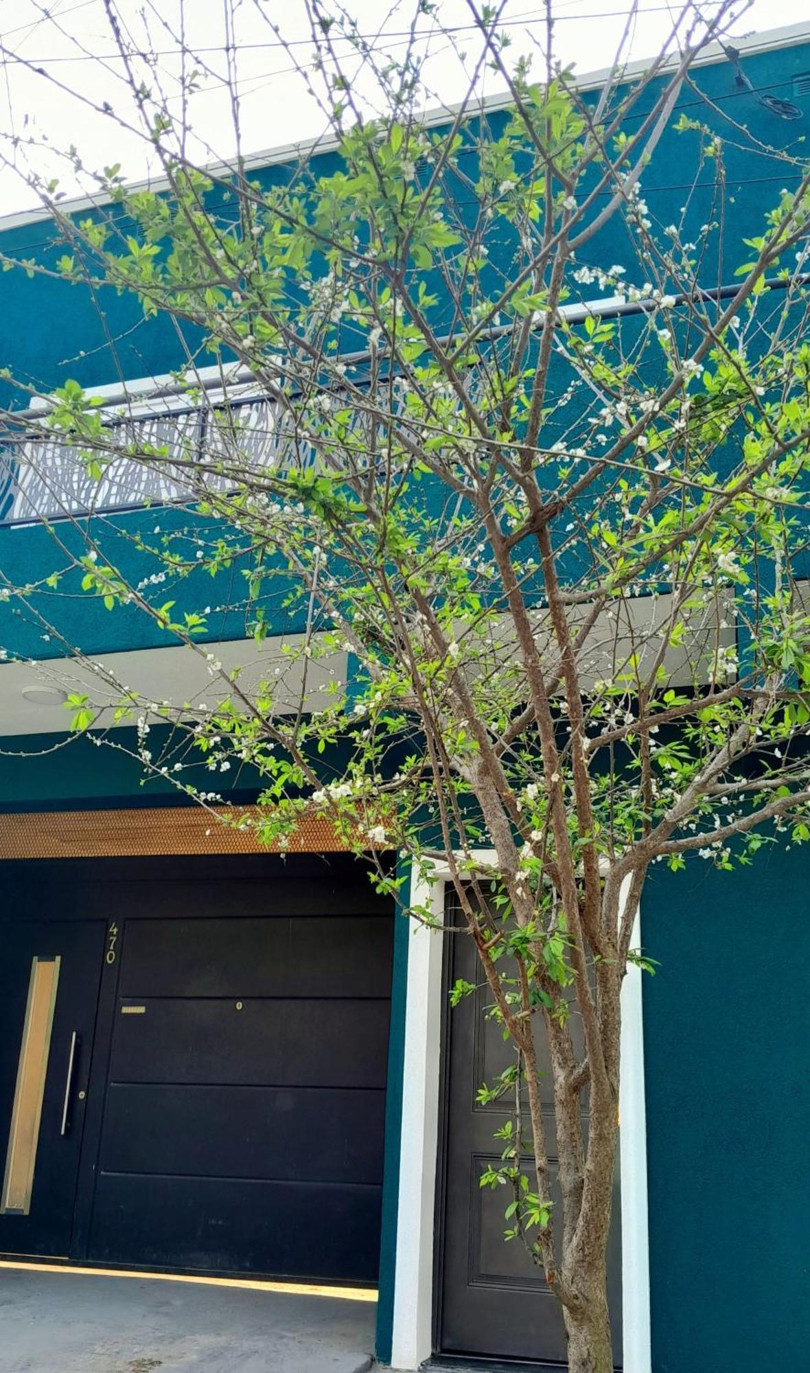 Esmeralda Duo Apartment Concepcion del Uruguay